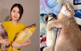Hết gối hình gián, dân mạng lại đua nhau săn gối hình cá, bánh mỳ như thật