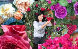 Trăm loài hoa quý hiếm ở "thiên đường mặt đất" của mẹ Việt ở Séc
