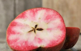 Mê mẩn loại táo Mỹ lạ "xanh vỏ - hồng lòng"