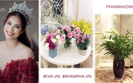 Bất ngờ với tài cắm hoa khéo léo trang trí nhà tuyệt đẹp của hoa hậu Phạm Hương