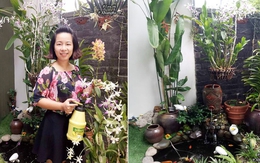 Mẹ Đà Nẵng "biến" sân gạch chỉ 30m² trước nhà thành vườn hoa lan rực rỡ