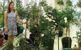 Chỉ mới trồng được 8 tháng nhưng mẹ Sài Gòn đã có vườn hoa hồng sân thượng tuyệt đẹp
