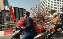 Bức ảnh "bố ơi mình đi đâu thế" phiên bản lỗi ngày cuối năm: Bố chở đào Tết, con đội... chậu