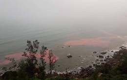 Dải nước màu đỏ "bí ẩn" liên tục xuất hiện ở vùng biển Thừa Thiên - Huế