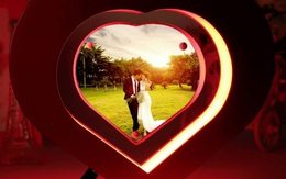 Hoa hồng "bất tử" giá bạc triệu hút khách dịp 8/3