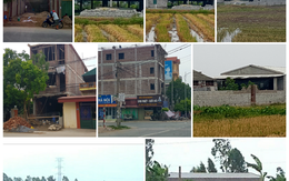 UBND huyện Tiên Lữ chỉ đạo làm rõ việc trục lợi trên đất nông nghiệp tại xã Ngô Quyền và Hưng Đạo