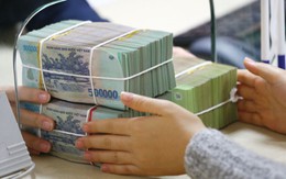 Bắt giám đốc công ty đa cấp lừa hàng vạn người