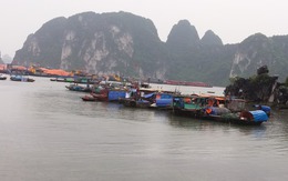 Bão số 2: Quảng Ninh họp khẩn cấm tàu thuyền ra khơi