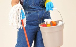 Chủ tá hỏa khi giúp việc 'hét' lương 700 nghìn mỗi ngày