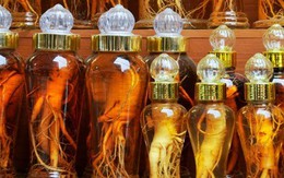 Đắt như đá quý, đại gia lùng mua sâm Mỹ tẩm bổ