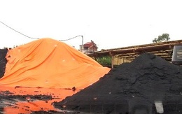 Quảng Ninh: Xác minh thông tin "đại công trường" than lậu núp bóng nhà máy gạch