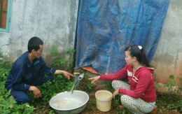 Một gia đình bị kẻ xấu đổ thuốc sâu vào bể nước