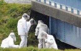 Gia đình bé gái bị sát hại ở Nhật Bản sốt ruột vì nghi phạm được thả rồi bị bắt lại