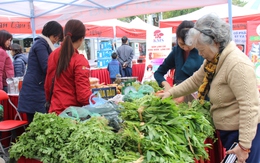Hà Nội: Du khách thích thú với phiên chợ Tết truyền thống