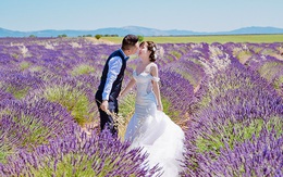 Ảnh cưới đẹp tuyệt của cặp đôi Việt trên cánh đồng Lavender