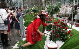 Hình ảnh xấu xí tại lễ hội hoa anh đào 2017: Mặc kệ hoa, miễn sao ảnh đẹp