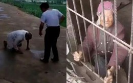 Để cha già quỳ lạy, đuổi mẹ già lúc nửa đêm: Thắt lòng cảnh con cái "trả ơn nghĩa" sinh thành
