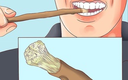 Trước khi có bàn chải, người ta làm sạch răng bằng gì?
