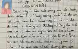 Mặt tích cực của bản kiểm điểm học sinh cấp 1