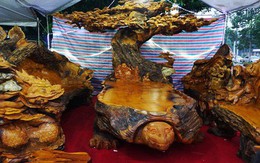 Chiêm ngưỡng bộ bàn ghế “tứ linh” bằng gỗ trai nghìn năm giá gần 3 tỷ đồng