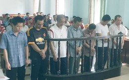 Chủ mưu băng trộm tiệm vàng ở miền Tây lĩnh 17 năm tù