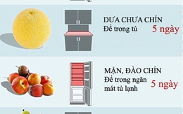 Thời gian bảo quản tủ lạnh tối đa với từng loại thực phẩm