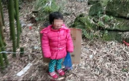 Bé gái 2 tuổi bị bỏ rơi ở nghĩa trang suốt đêm trong cái lạnh tê tái vì lý do không ngờ
