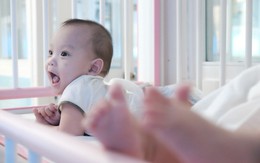 Được chăm sóc tận tình, bé trai bị vứt ở lề đường khiến kiến lửa bò đầy miệng đã bụ bẫm, khỏe mạnh