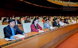 Lùi 2 năm để biên soạn sách giáo khoa mới