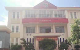 Bắt giám đốc Ngân hàng Agribank chi nhánh Krông Bông