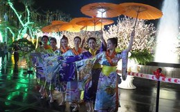 Hải Phòng: Hàng nghìn người đội mưa xem hoa anh đào Nhật Bản