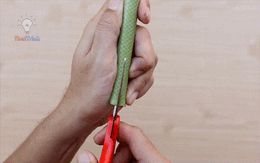 Tưởng là đồ bỏ đi nhưng bạn sẽ ngạc nhiên khi biết công dụng của ống cao su cũ