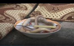 Chuyên gia lý giải về việc người phụ nữ bị ung thư tử cung sống khỏe nhờ... ăn rắn