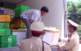 Đà Nẵng: Bắt 250 kg gân bò không rõ nguồn gốc trên đường đi tiêu thụ