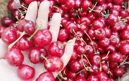 Cherry Trung Quốc 90 ngàn/kg bán tràn lan