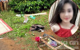 Uẩn khúc trong vụ chồng sát hại vợ bằng hàng chục nhát dao