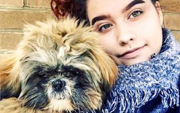 Đăng ảnh chó cưng lên profile Tinder, cô gái trẻ 'hối hận' vì quyết định sai lầm của mình