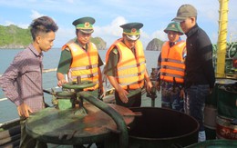 Bắt giữ 40.000 lít dầu lậu trên vùng biển Hải Phòng