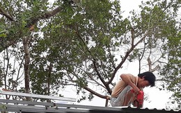 Dựng lại nhà sau khi dỡ gần hết mái, vách để tránh bão Tembin