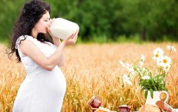 Có bắt buộc phải uống sữa trong thai kỳ?