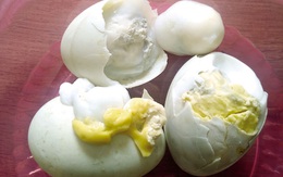 Dễ ung thư khi ăn trứng ung để “tăng cường sinh lực”