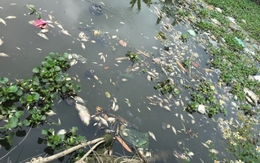 Huyện Bình Giang, tỉnh Hải Dương: Dân kêu cứu vì nguồn nước ô nhiễm