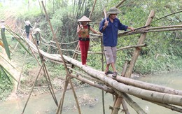 Phú Thọ: Người dân “ốc đảo” và khát vọng thoát nghèo