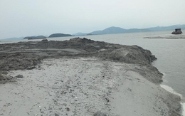 Huyện Vân Đồn (Quảng Ninh): Dân lo lắng vì nguy cơ tận diệt tại bãi triều Chương Rồ