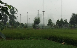 Mễ Trì, Hà Nội:  Hàng ngàn mét vuông đất ruộng bị trục lợi