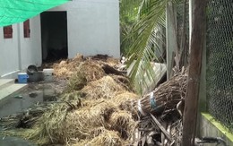 Cụ bà 77 tuổi chết cháy trong kho chứa rơm
