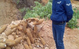 Phát hiện hầm đạn pháo “khủng” ở Quảng Ninh