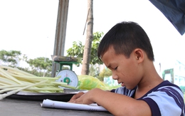 Cậu bé 9 tuổi học bài bên lề đường ở Sài Gòn