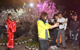 Du khách mải mê "check-in" trước hoa anh đào Nhật Bản
