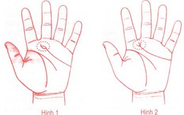 Tự xem số phận qua bàn tay: Bí ẩn thú vị về "đường tâm huyết" trong lòng bàn tay